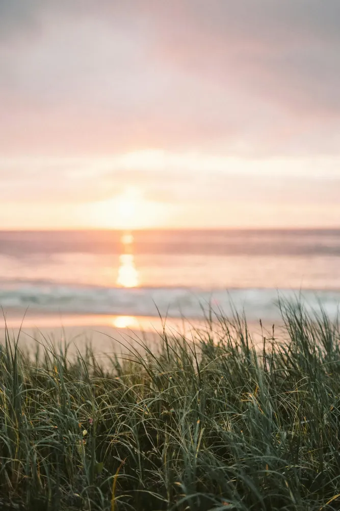 Reiki près de Blois